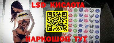 spice Обнинск
