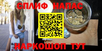 МДПВ Обь