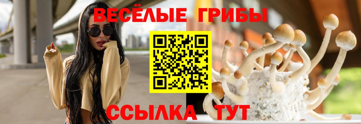 Усинск  Псилоцибиновые грибы мицелий  Вход с VPN 
